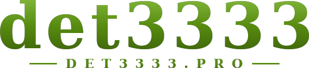det3333 logo